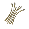 Barley