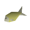 Raw mackerel