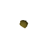 Sunchoke seed