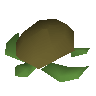 Raw sea turtle