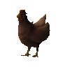 Bandosian bantam hen (unchecked)