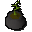 Bagged plant 1