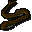 Cave eel