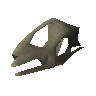 Lizard skull