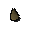 Banana tree seed