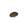 Reed seed