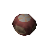 Zygomite fruit