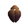Speedy whirligig shell