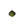Acorn