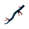 Whip vine