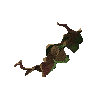 Elder shieldbow (unstrung)