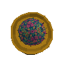 Kauai parasol token