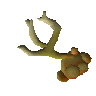 Calcified fungus