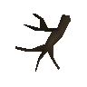Numbing root
