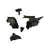 Verac