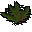Grimy ranarr