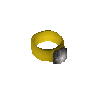 Ring of life