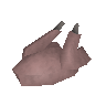 Raw chicken