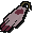 Team-8 cape