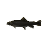 Gillbert pet token