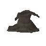 Rotten fungus