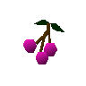 Cadava berries