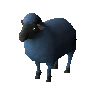Winterwold ewe (unchecked)