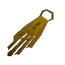 Team-20 cape