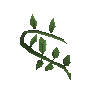 Third age druidic wreath
