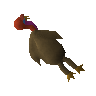 Rubber turkey