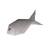 Raw herring