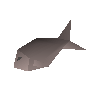 Herring