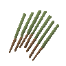 Accursed acadia incense sticks