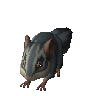 Azure chinchompa (unchecked)
