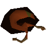 Lean snail meat