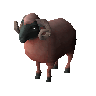 Summerdown ram (unchecked)