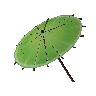 Lime parasol