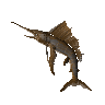 Sailfish