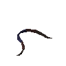 Mutated vine