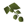 Hammerstone hops