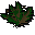 Grimy dwarf weed