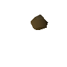 Yew seed