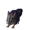 Cobalt chinchompa (unchecked)