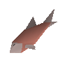 Raw salmon