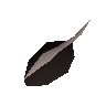 Grapevine seed