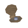 Oyster pearl