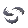 Raw anchovies
