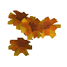 Marigolds