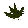 Clean kwuarm