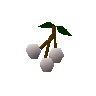 White berries